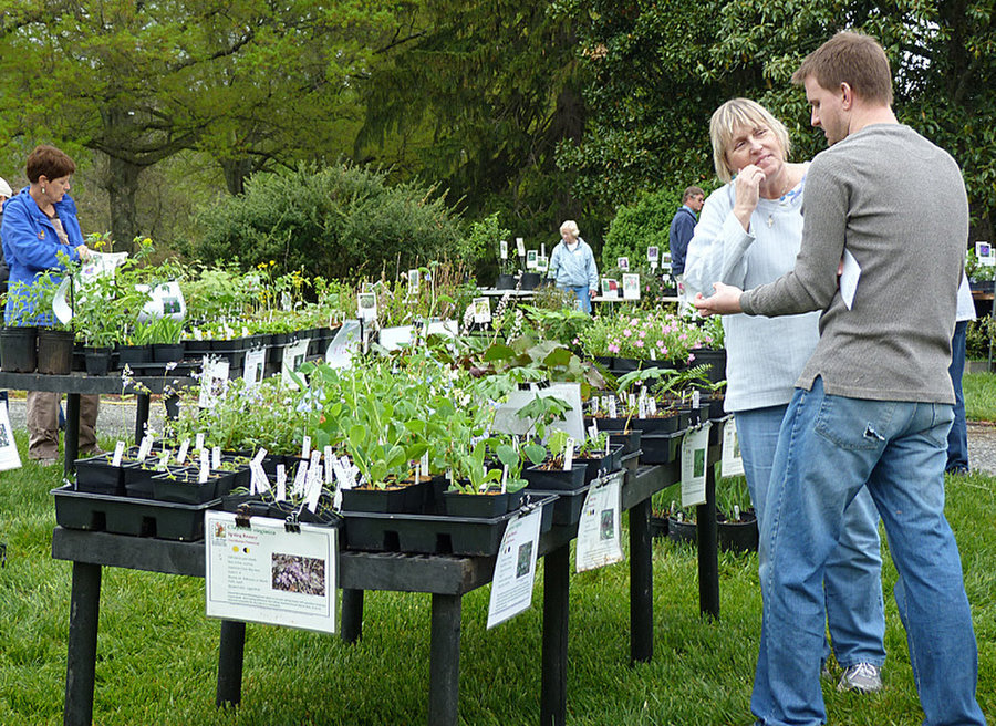 Spring Native Plant Sale By Loudoun Wildlife Conservancy Saturday