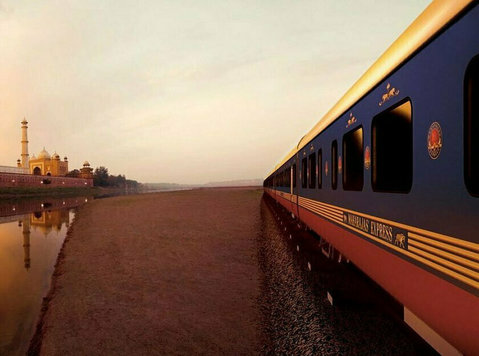 Luxury Train Tour in India - Útitárs