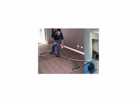 Expert Water Damage Carpet Restoration Services - Restore Yo - Чишћење