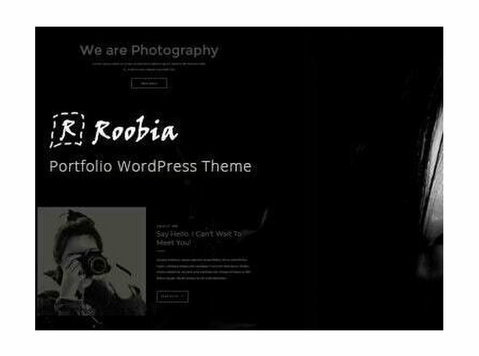 🌟 Roobia - Portfolio Wordpress Theme 🎨 - Computer/Internet