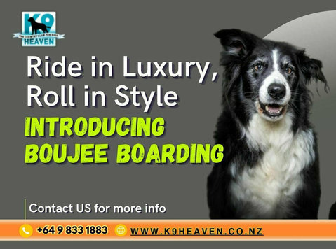 Ride in Luxury, Roll in Style: Introducing Boujee Boarding - Inne