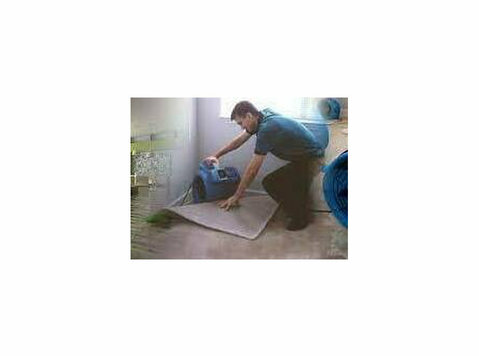 Water Damage Specialist - Expert Carpet Cleaning and Drying - Друго