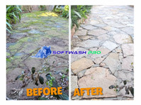 Softwash Pro: Refresh Your Home's Exterior! - Чишћење