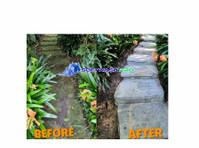 Softwash Pro: Refresh Your Home's Exterior! - Почистване