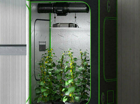 Grow Your Gardening Dreams with Hydroponic Grow Tent Systems - Övrigt