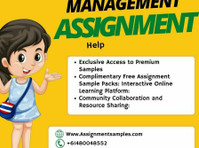 Management Assignment Help - Your Path to Academic Excellenc - Services: Other