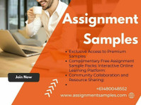 Unlock Academic Excellence with 30% Off on Premium Assignmen - Services: Other