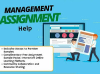 exclusive Offer! Get 30% Off on Management Assignment Help - Övrigt