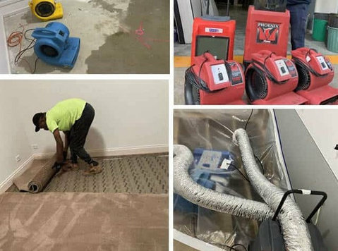 Expert Water Damage Restoration Services in Melbourne - Reinigung