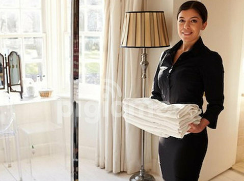 Professional House Manager Services in Docklands - Limpieza