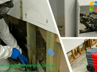 Expert Mould Removal Specialists in Melbourne - Drugo