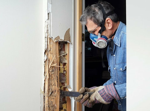 Termite Dusting - Your Shield Against Pesky Invaders! - Household/Repair
