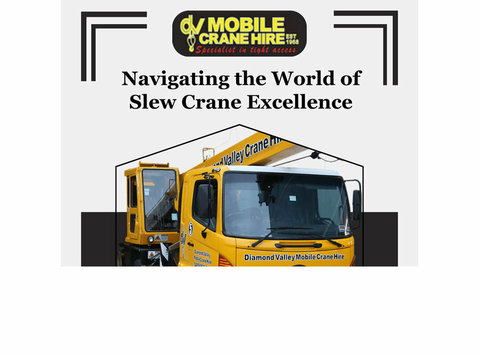 Navigating the World of Slew Crane Excellence - Altele