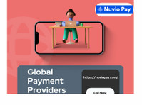 Top Global Payment Providers Solution with Nuviopay - Sonstige