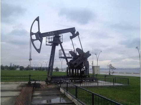 Экскурсии в Баку с частным гидом (6) - دوسری/دیگر