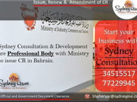 Start your business with Sydney Consultation - Services: Other