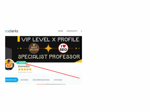 Seoclerks Staff Handpicked Member Level X Profile - மற்றவை