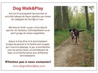 Canine Massage Therapist and Dog Walker - Dog Walk&Play - Другое