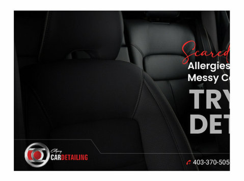Revive Your Ride with Expert Shine! - غيرها