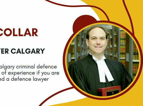 Criminal Defence Attorney - 法律/金融