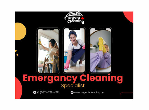 Furnace & Duct Cleaning – Improve Your Indoor Air Quality! - Cleaning