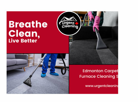 Fresh Carpet & Furnace Cleaning – Edmonton’s Trusted Pros! - Altele