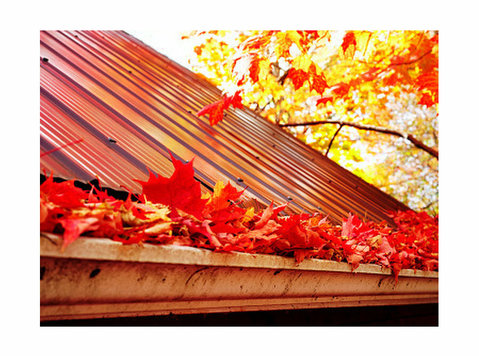 Fredericton Gutter Cleaning - ดูแลซ่อมแซมบ้าน