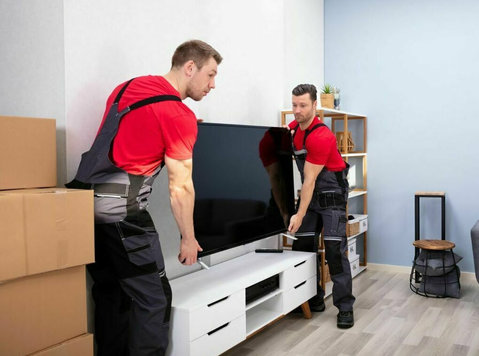 Affordable & Fast Tv Repair in Mississauga – Book Now - Sonstige