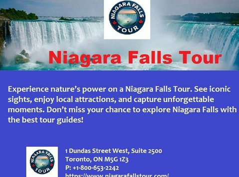 Niagara Falls Tour - Altro