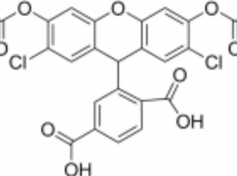5-carboxy-h2dcfda (6-carboxy-2′,7′-dichlorodihydrofluorescei - Drugo