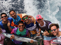 Punta Cana fishing charters Dominican Republic deep-dea fish - Sprzęt sportowy/Łodzie/Rowery