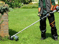 Servicios profesionales de jardinería - Jardinagem