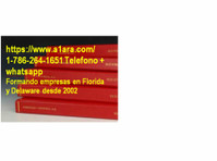 Formacion de Corporaciones y LLCs en Delaware, Florida, etc - Legal/Finance