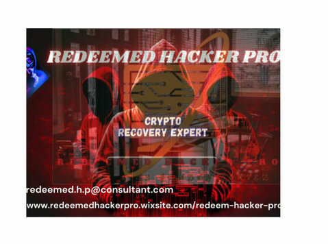 Honestly, up until I encountered Redeemed Hacker Pro - その他