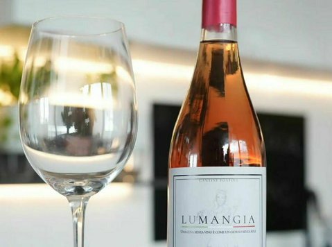 Italienischer Roséwein online kaufen – Fatina Rosato Igt - دوسری/دیگر