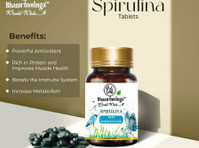Bharat Moringa: Your Gateway to the Best Nutraceuticals in I - மற்றவை 