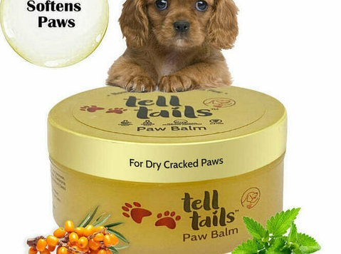 Buy Natural Paw Balm for Dogs in India Online By Telltails - Buy & Sell: Other