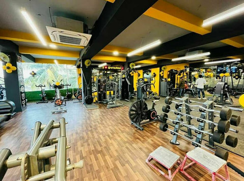 Buy Premium Commercial Gym For Gyms In India - אחר