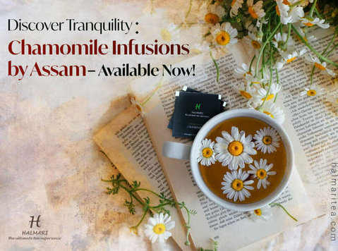 Discover Tranquility: Chamomile Infusions by Assam Available - Buy & Sell: Other