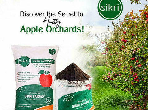 Effective Fertilizer for Apple Trees - دوسری/دیگر