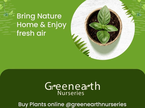 Online Plant Nursery Delhi | Green Earth Nurseries - Otros