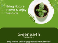 Online Plant Nursery Delhi | Green Earth Nurseries - Iné
