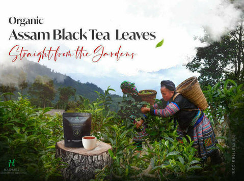 Organic Assam Black Tea Leaves - Straight from the Gardens - Outros