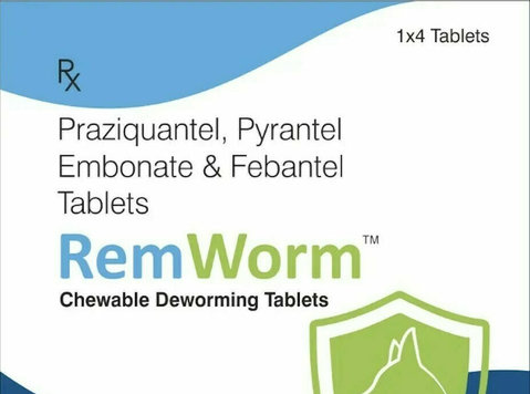Paws Off Parasites: Introducing Remworm for Your Furry Frien - غیره