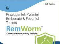 Paws Off Parasites: Introducing Remworm for Your Furry Frien - Ostatní