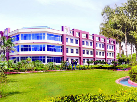 B.Ed College in Meerut Up - dce.dewaninstitutes.com - Diğer