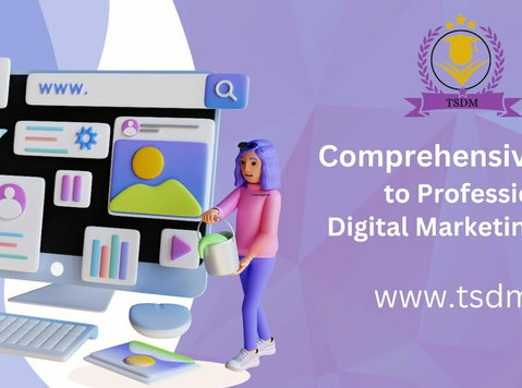 Professional Digital Marketing Course (tsdm) - Iné