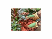 ace Landscapes & Turf Supplies - Classes: Other