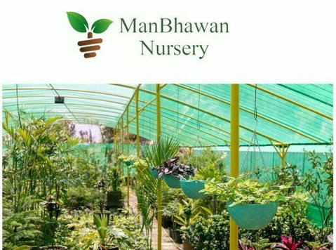 best plant nursery in delhi/ncr - Classes: Other