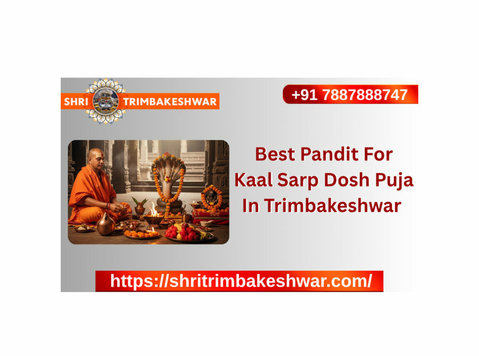 Best Pandit For Kaal Sarp Dosh Puja In Trimbakeshwar - Друго